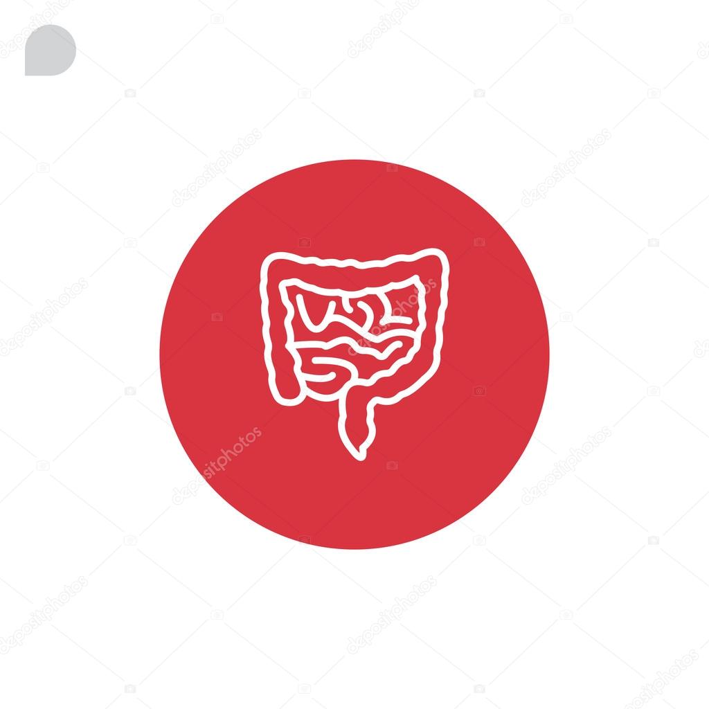 human intestines icon