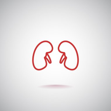 İnsan böbrekler simgesi 