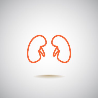 İnsan böbrekler simgesi 