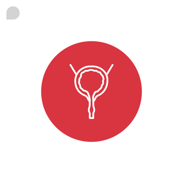 Urinary bladder organ icon  