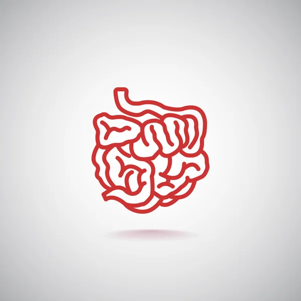 Icono del intestino delgado humano — Vector de stock