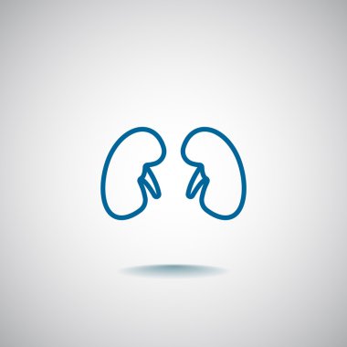 İnsan böbrekler simgesi 