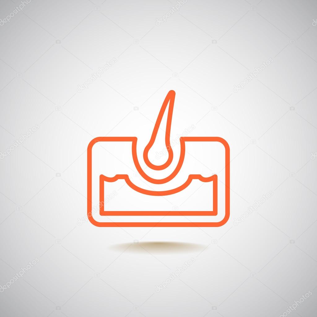 Human hair and skin icon. vector illustration