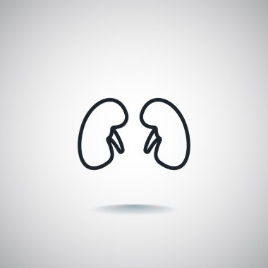 İnsan böbrekler simgesi 