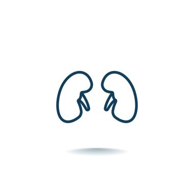 İnsan böbrekler simgesi 