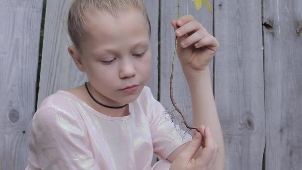 Niña adolescente Frugalmente sosteniendo la planta en la mano en el fondo de la valla — Vídeo de stock