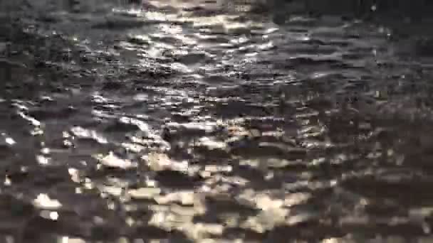 Superficie dell'acqua Undulates sotto il sole luminoso — Video Stock