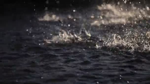 Indah Splash di Air Mancur di Matahari — Stok Video