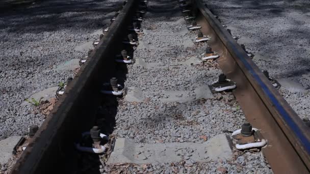 Emigrant met een zak kruist de Railroad Tracks — Stockvideo