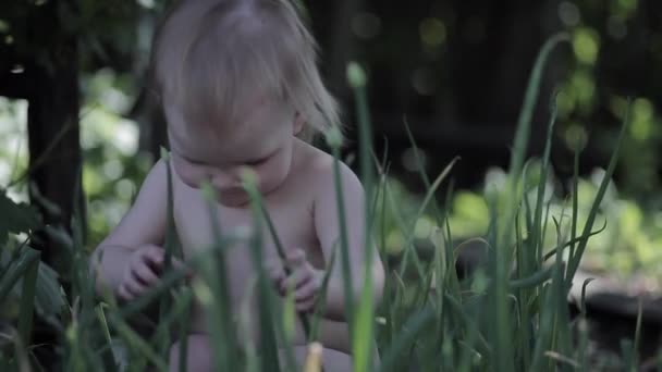 Nacktes Baby saß neben den Zwiebelbeeten — Stockvideo