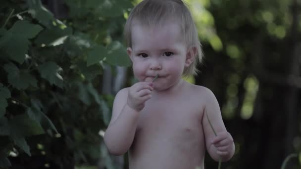 Bambino prova di cipolle verdi fresche — Video Stock