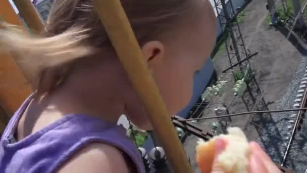 Fille courageuse avec un chignon regarde le chemin de fer du pont — Video