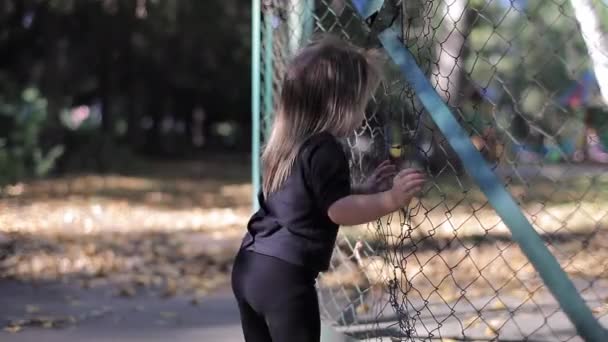 Curious Little Girl Looking Through a Mesh Fence — Stock Video