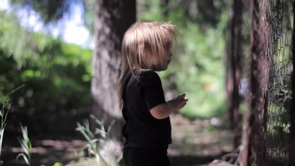 Маленькая девочка в черной рубашке и штанах стоит у решетки и рвёт на ней листья — стоковое видео
