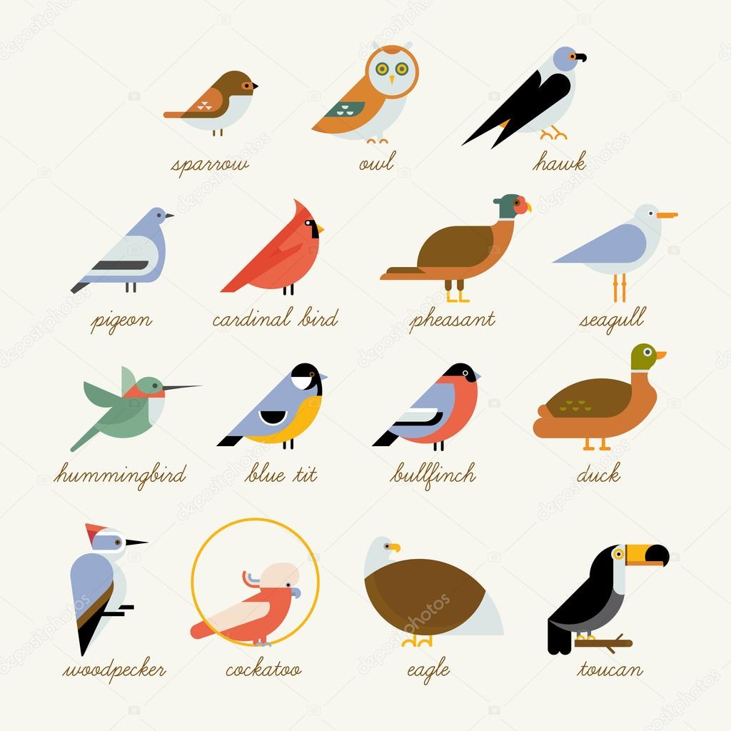 Bird icon collection. Different birds species like: owl, toucan, hummingbird, bullfinch and more vector illustration birds