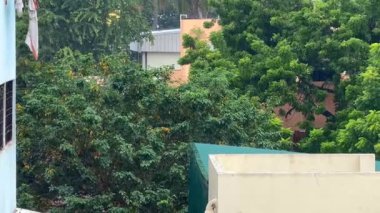 Şehir bölgesindeki pencereden sağanak yağış ve güçlü rüzgar yakalandı