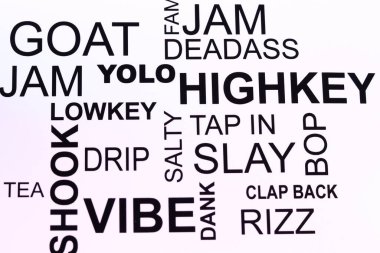 Z Geni parola kelimeleri rastgele kolaj şeklinde düzenlenmiştir.