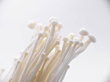 Enoki mantarı - Tipik Japon mutfağı.
