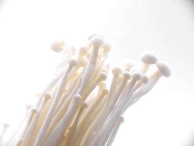 Enoki mantarı - Tipik Japon mutfağı.