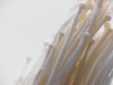 Enoki mantarı - Tipik Japon mutfağı.