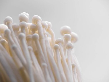 Enoki mantarı - Tipik Japon mutfağı.