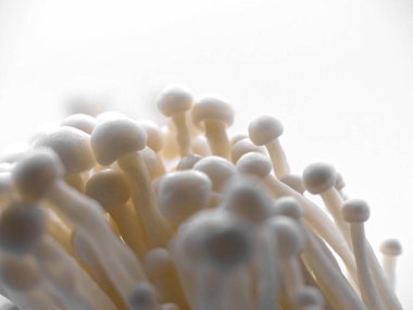 Enoki mantarı - Tipik Japon mutfağı.