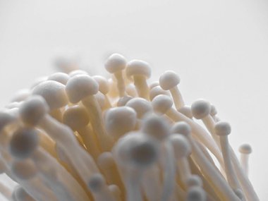 Enoki mantarı - Tipik Japon mutfağı.