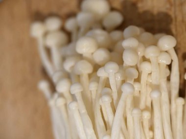 Enoki mantarı - Tipik Japon mutfağı.