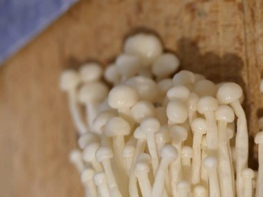 Enoki mantarı - Tipik Japon mutfağı.