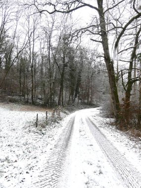 La Neuville Au Pont, Aralık 2025: Argonne ve Ardennes ormanlarında yürüyüş, karların altında ağaçlar ve doğa ile çevrili.