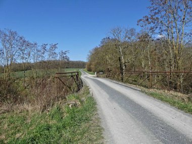 Fransa 'daki Argonne ormanında yürüyüş.