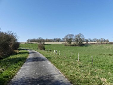 Fransa 'daki Argonne ormanında yürüyüş.