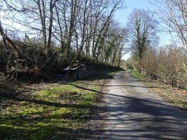 Fransa 'daki Argonne ormanında yürüyüş.