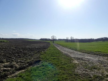 Fransa 'daki Argonne ormanında yürüyüş.