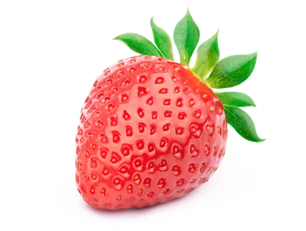 çilek ile izole bırakır