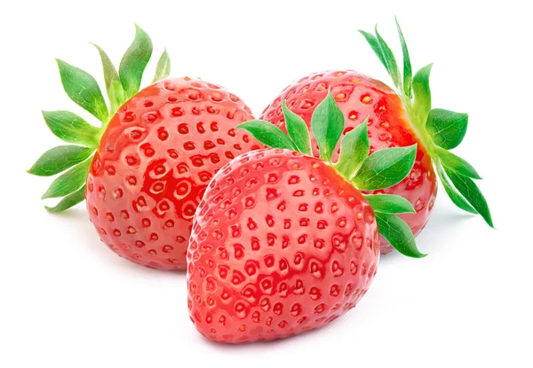 İzole yaprakları ile üç çilek