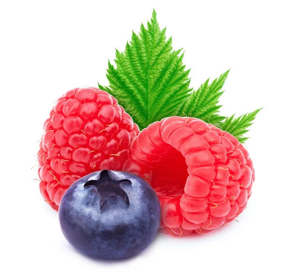 Two raspberries and one blueberry isolated — Stock Photo, Image