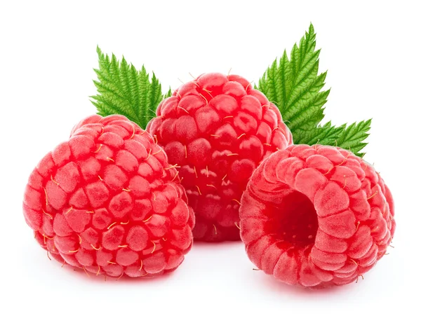 İzole üç olgun ahududu