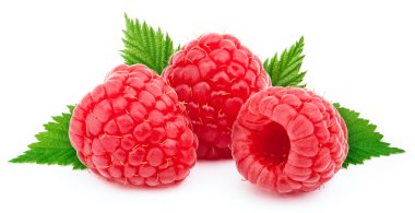 İzole üç olgun ahududu