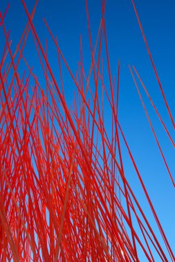 Kırmızı küçük rasgele Polonyalılar sanat nesnesinde Osl