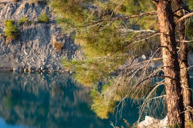 Suyun yakınındaki bir çam ağacının yakınında. Barajdaki su inanılmaz derecede mavi ve çevreyi yansıtıyor..