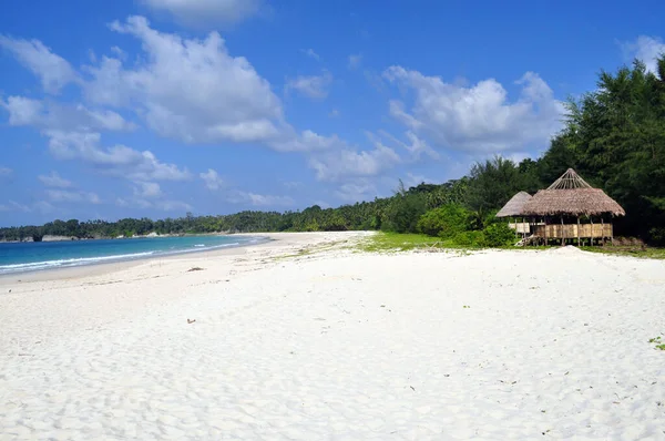 印度安达曼群岛和尼科巴群岛的风景如画的热带海滩 — 图库照片