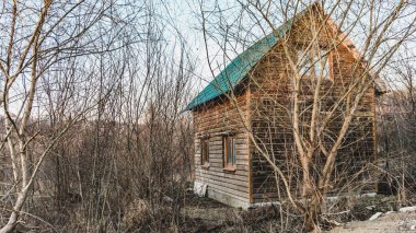 Ormandaki küçük ahşap kır evi.