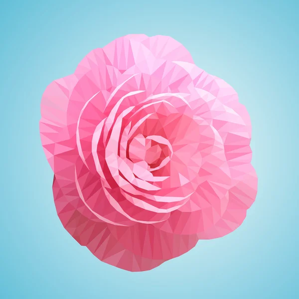 Rosa Rosa camelia flor . — Vector de stock