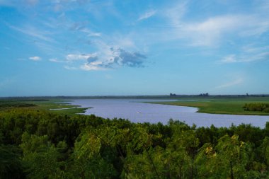 San Nicolas de los Arroyos 'da sulak arazi, Arjantin panoramik nehir manzarası doğal bitki örtüsü ve Buenos Aires Eyaleti' nde açık gökyüzü.