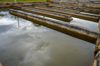 Suyla dolu çok sayıda beton balık göleti.