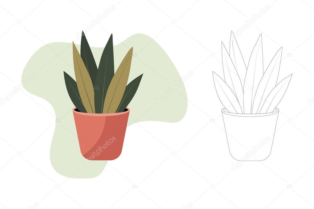 Modern vector illustration of a snake plant in a terracotta pot with abstract pastel green background and clean line art version, perfect for minimalist wall art, eco branding, social media templates,