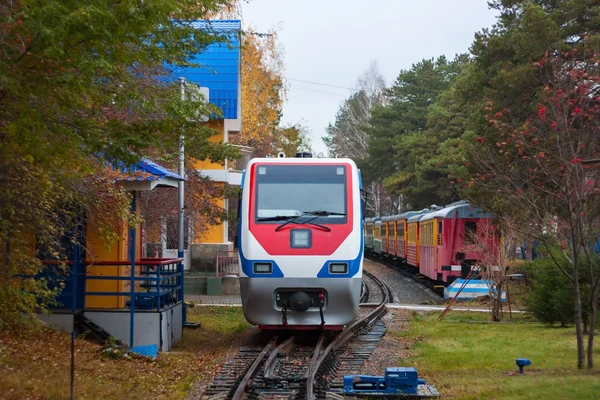 Höstens tåg i vackra omgivningar — Stockfoto
