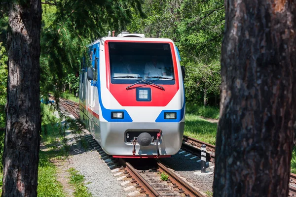 Locomotive à voie étroite dans le parc municipal — Photo