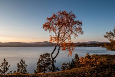 Güzel bir göl ve sahil Açık güneşli bir sonbahar gününde